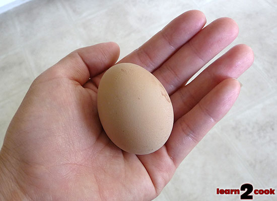 110327-First-Egg