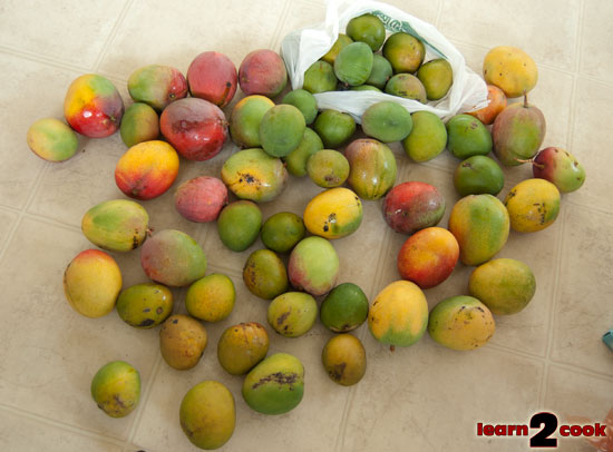 Many Mangoes